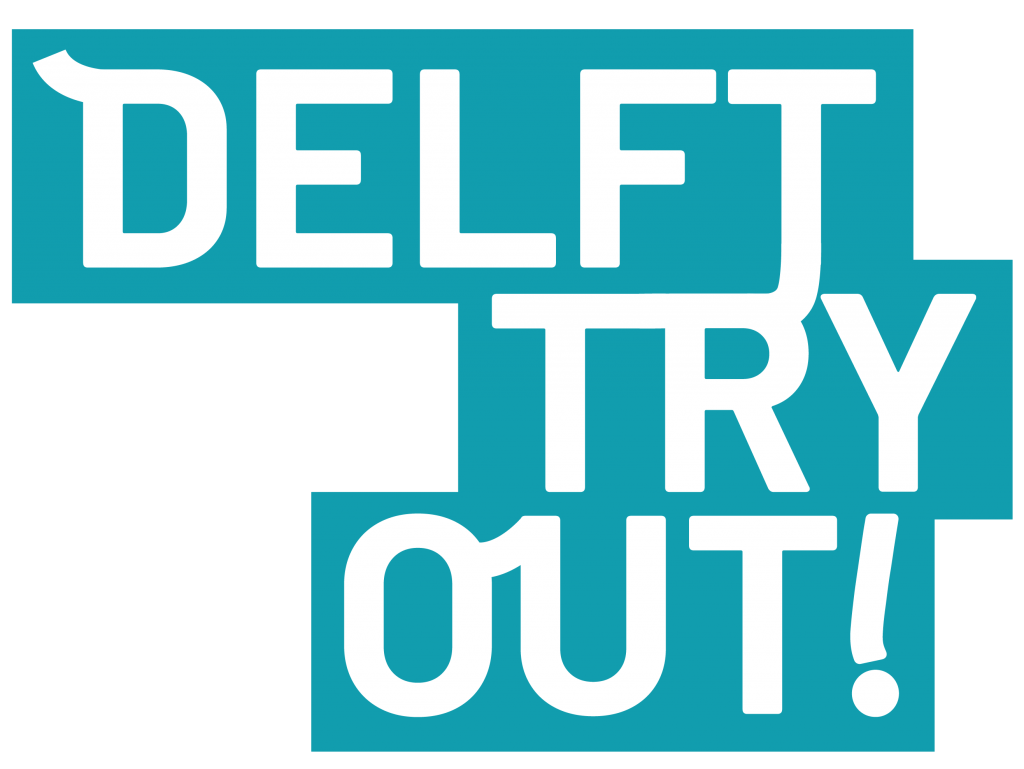 Delft try out logo